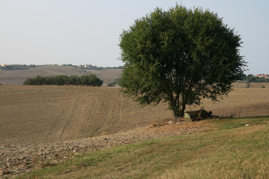 Il Campetto Country House Senigallia Exteriör bild
